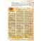 La Bible Segond 21 avec notes d’étude archéologiques et historiques