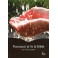 Pourquoi je lis la Bible