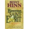 Bienvenue Saint-Esprit