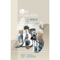 Bible Segond 21 avec notes d’étude Vie Nouvelle