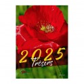 Trésors cachés 2020