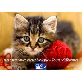 Mini Carte Rond A Volet Action