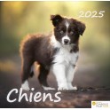 Calendrier Chiens 2025