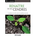Renaître de ses cendres