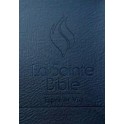 Bible "Esprit et vie", vinyl tr. dorée