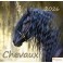 Calendrier Chevaux 2025
