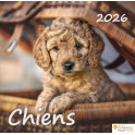Calendrier Chiens 2025