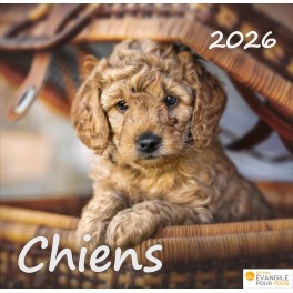 Calendrier Chiens 2025