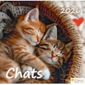 Calendrier Chats 2025