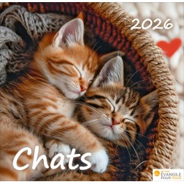 Calendrier Chats 2025