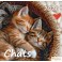 Calendrier Chats 2025