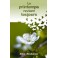 Printemps Reviens Toujours