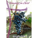 Demeurez En Christ La Collin