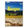 Berger Terrestre Et Divin