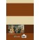 Theologie Du N T
