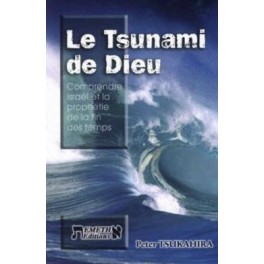 Tsunami De Dieu (Le)