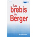 Brebis Du Berger